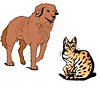 Künstler-Illustrationen - Hunde & Katzen